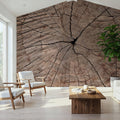 Tree Ring Portrait Mural Wallpaper - room preview 06