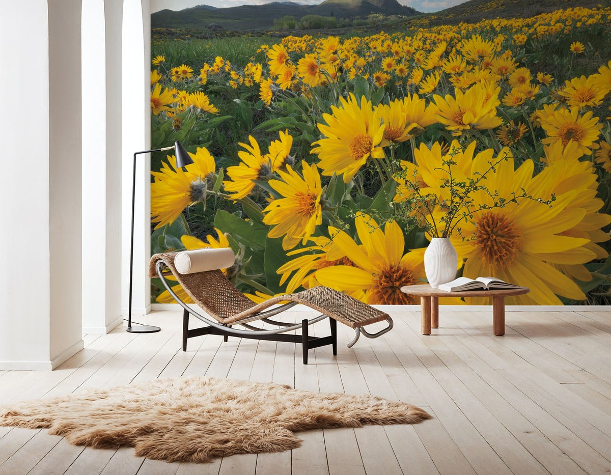 Methow Valley Wildflowers II Mural Wallpaper - room preview 06