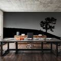 Limber Pine BW Mural Wallpaper - room preview 06