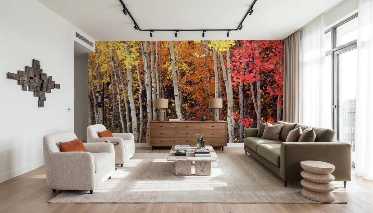 Autumn Aspen Grove Mural Wallpaper - room preview 06