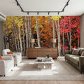 Autumn Aspen Grove Mural Wallpaper - room preview 06