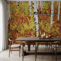 Autumn Birch Haven Mural Wallpaper - room preview 06
