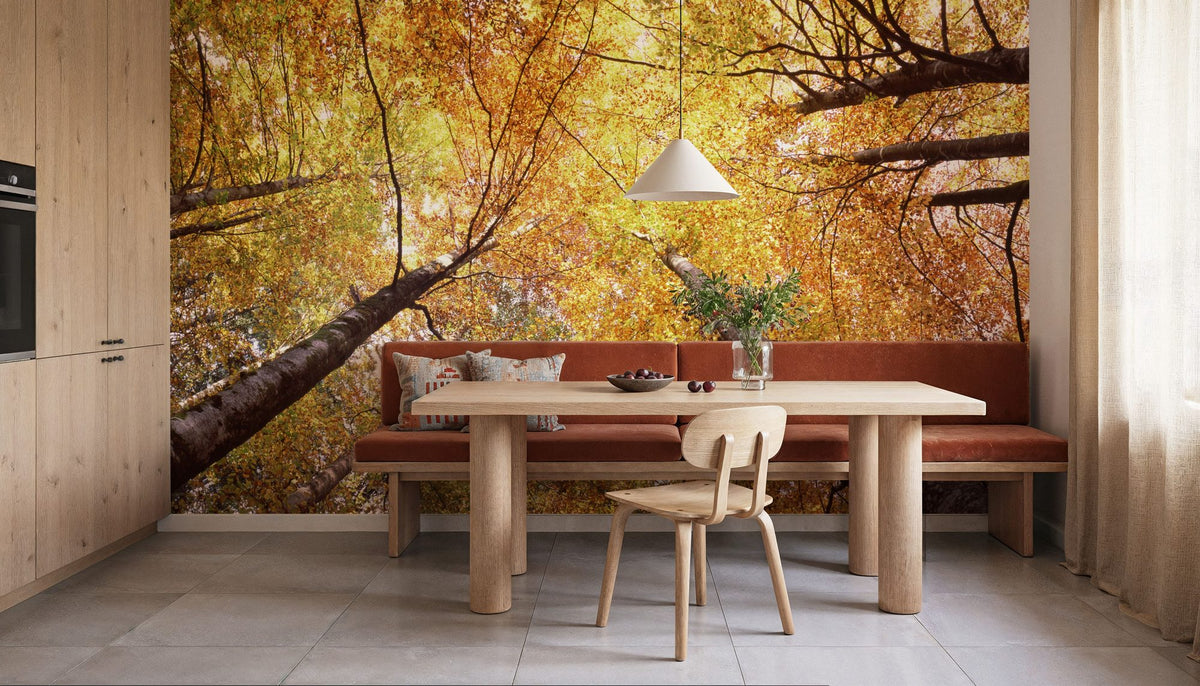 Autumn Canopy Glow Mural Wallpaper - room preview 06