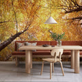 Autumn Canopy Glow Mural Wallpaper - room preview 06