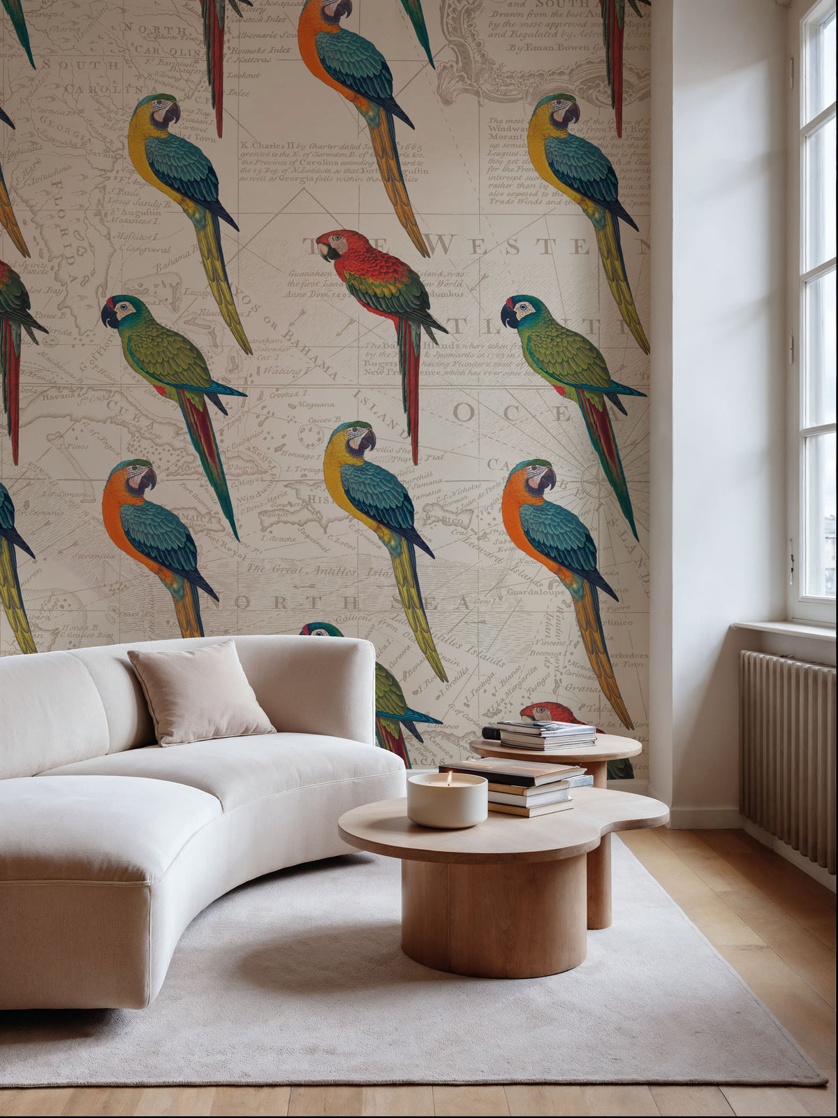 Parrot Paradise II Mural Wallpaper - room preview 06