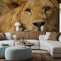 Lion Mural Wallpaper - room preview 06