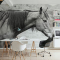 Moke Lake Horse Mural Wallpaper - room preview 06