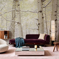 Winter Birch Forest Mural Wallpaper - room preview 06