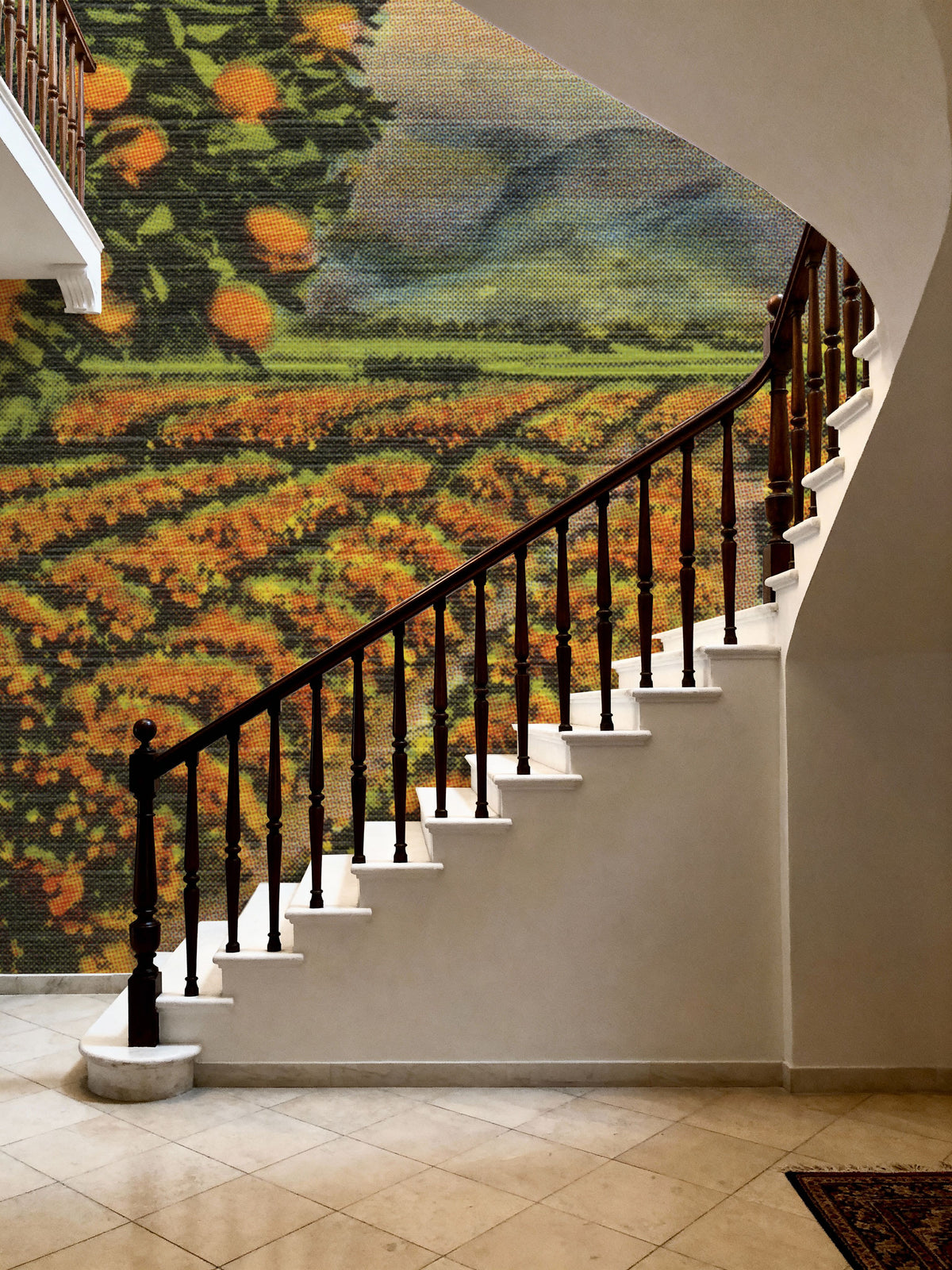 Greetings From Oranges Mural Wallpaper - room preview 06