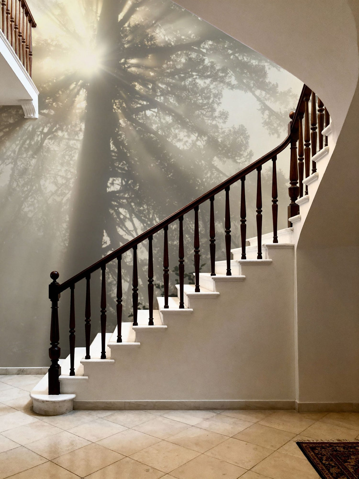 Mighty Redwood Mural Wallpaper - room preview 06