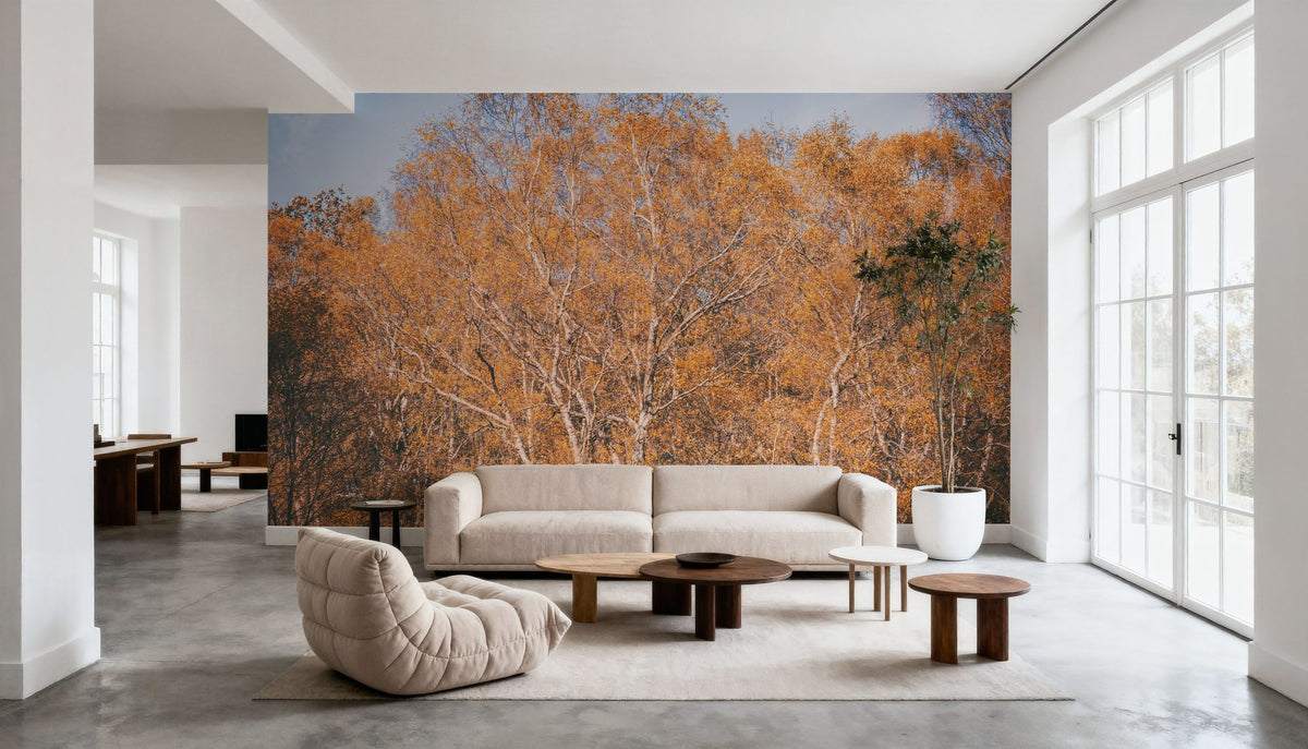 Amber Birch Woods Mural Wallpaper - room preview 06