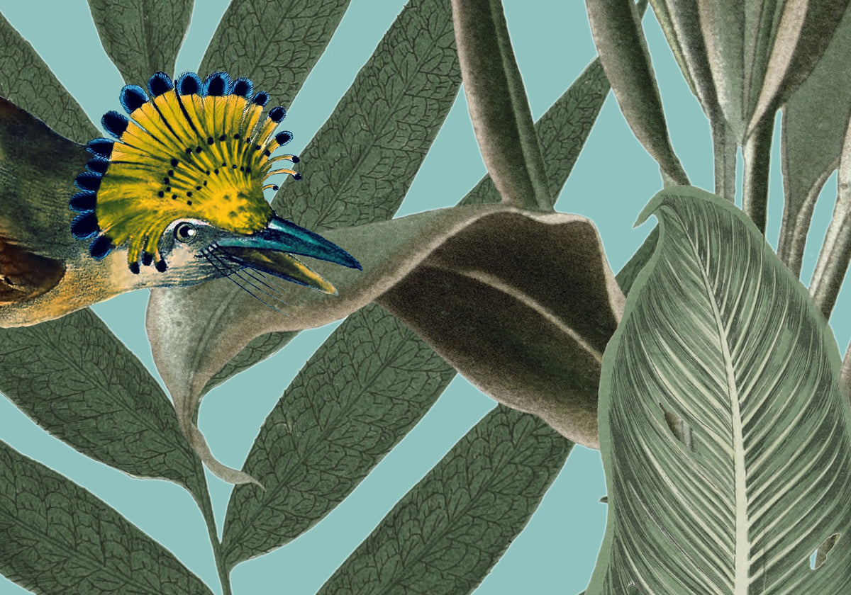 Yellow Bird Mural Wallpaper - room preview 06