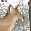 Scandinavian Bellewood, Animal Mural Wallpaper - room preview 06