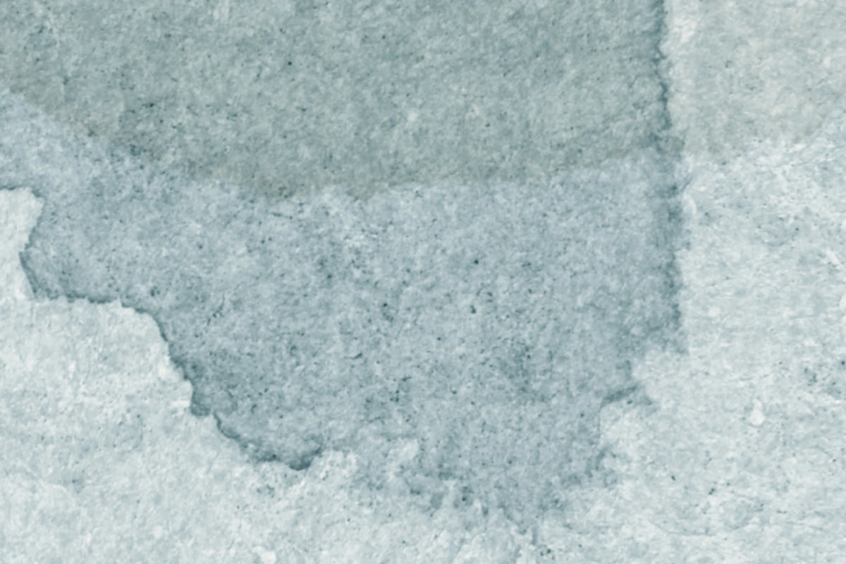 Petals, Sky Mural Wallpaper - room preview 06