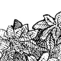 Bellewood, Black Toile Mural Wallpaper - room preview 07