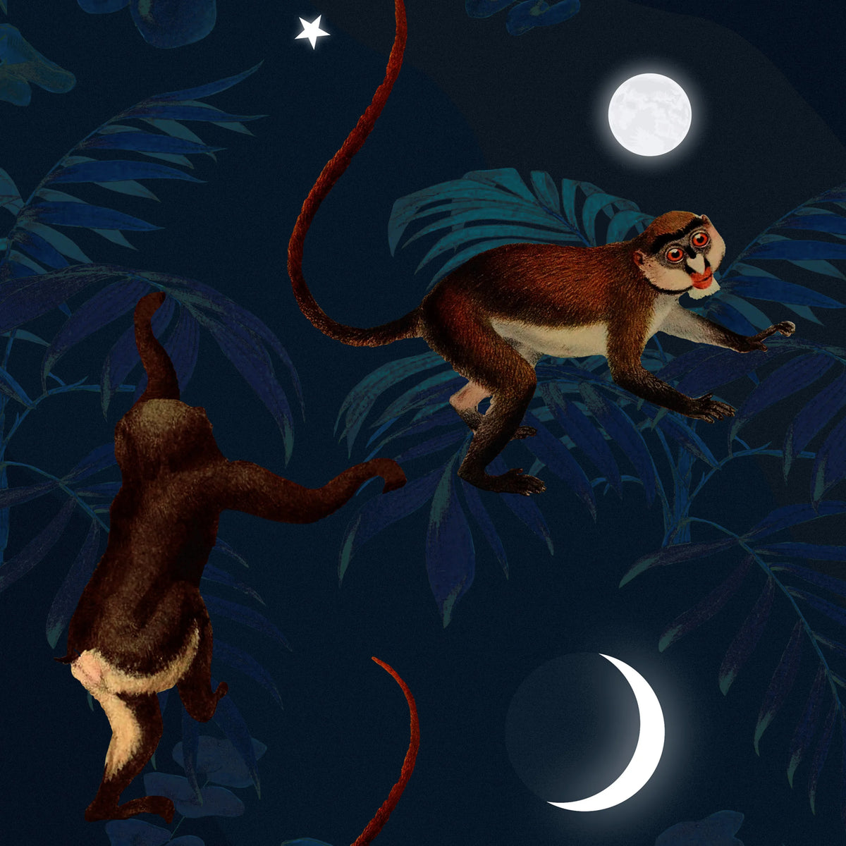 Space Monkey Mural Wallpaper - room preview 07