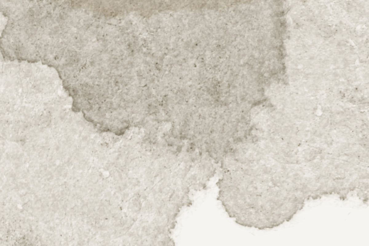 Petals, Sand Mural Wallpaper - room preview 07