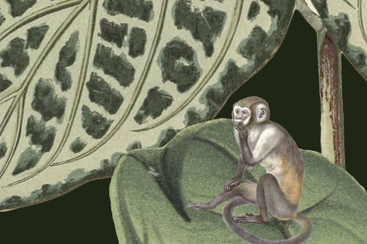 Mischievous Monkeys, Lush Mural Wallpaper - room preview 08