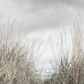 Pale Shore Mural Wallpaper - room preview 08