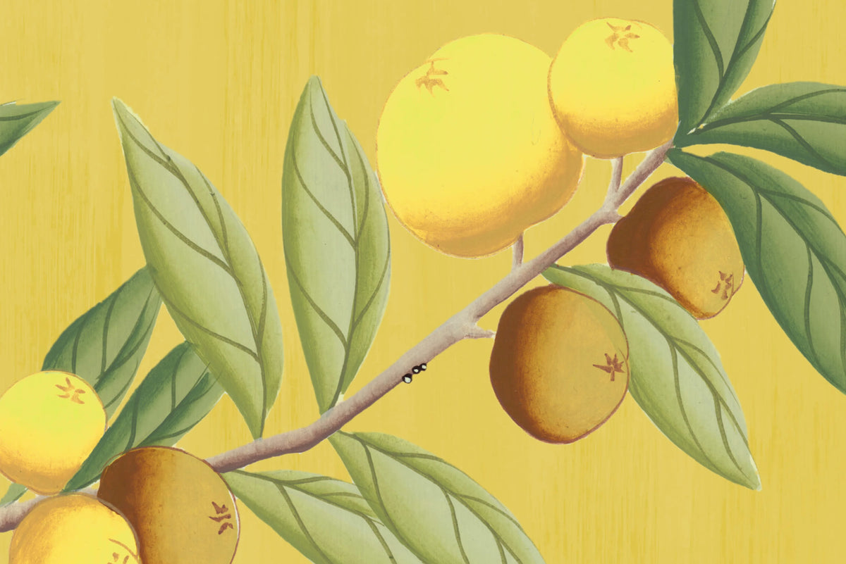 Chinoiserie Chic, Saffron Mural Wallpaper - room preview 08