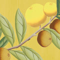 Chinoiserie Chic, Saffron Mural Wallpaper - room preview 08