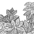 Bellewood, Gray Toile Mural Wallpaper - room preview 09