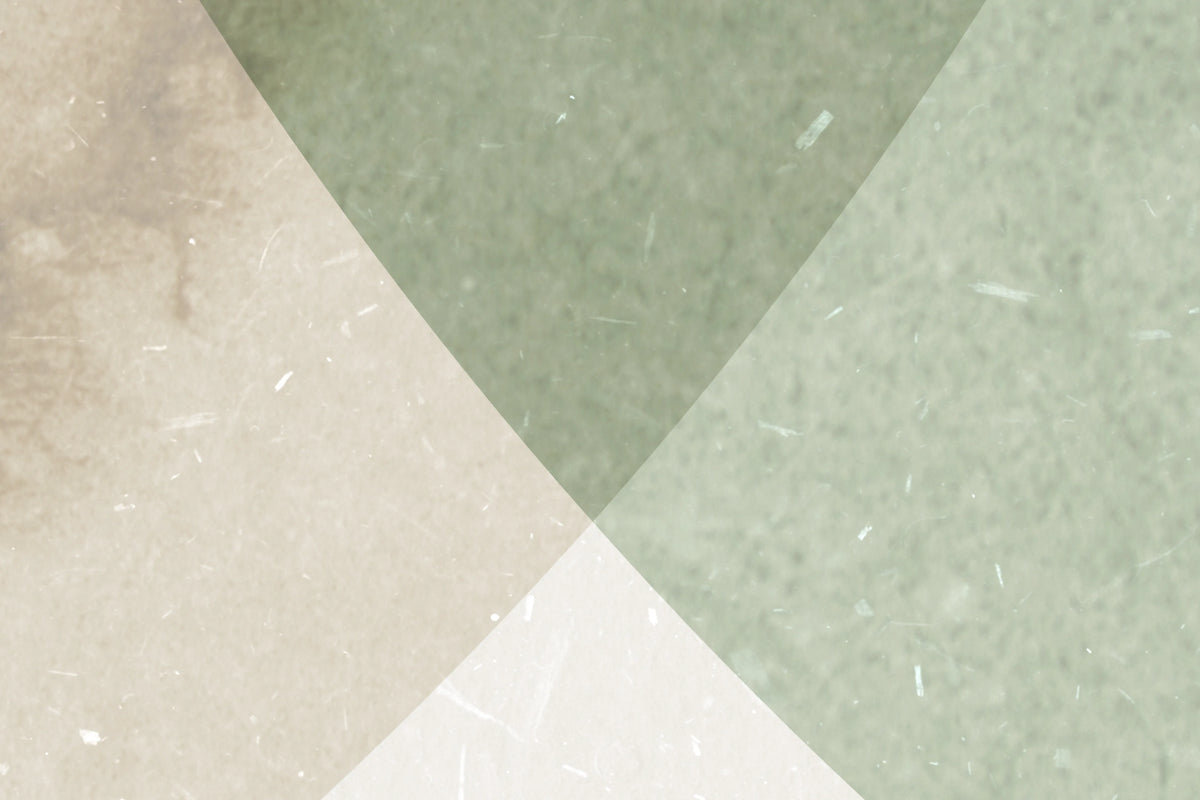 Eclipse, Beige Green Mural Wallpaper - room preview 09